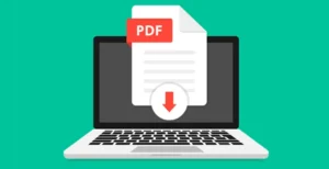 PDF File