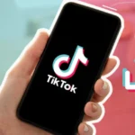 The TikTok Downloader